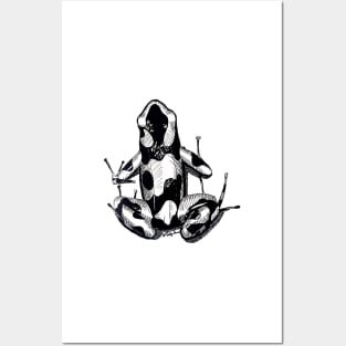 Poison Dart Frog -- Black and White Posters and Art